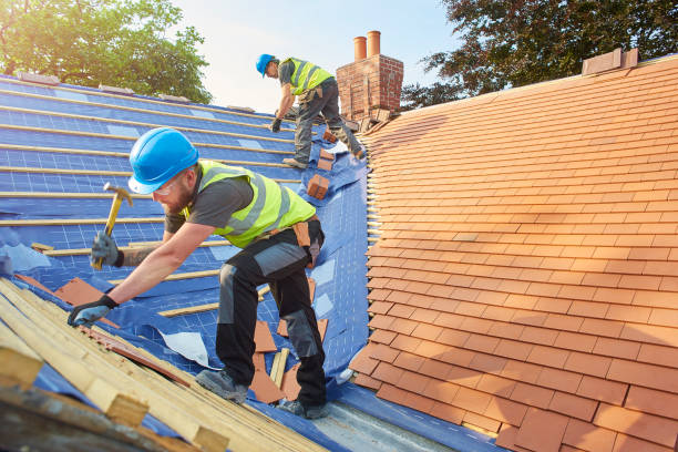 Best Cold Roofs  in Blanco, TX